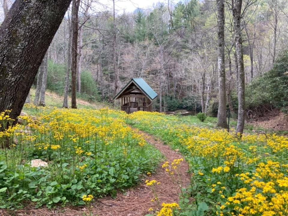 Sparta Little River Cabin מראה חיצוני תמונה